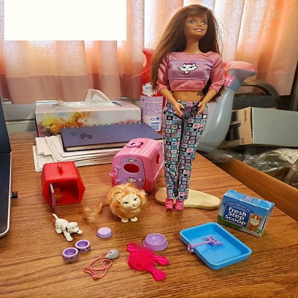 Like New Retired 2000 Kitty Fun Barbie - Picture 1 of 2